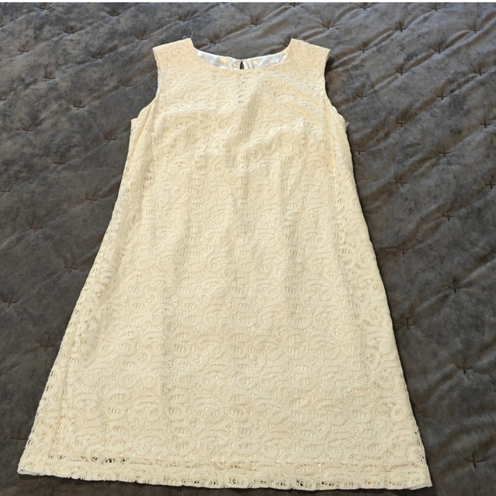 NWT LOFT Lace Dress